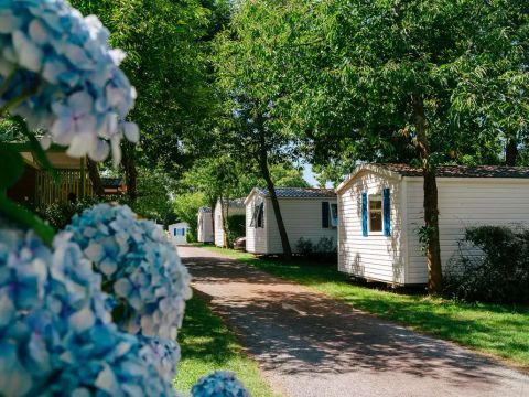 Flower Camping La Blanche Hermine - Camping Morbihan - Image N°12