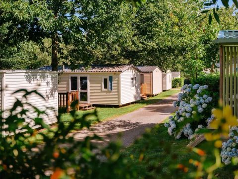Flower Camping La Blanche Hermine - Camping Morbihan - Image N°29