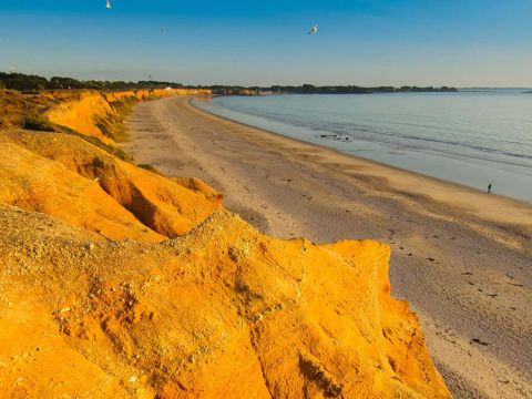 Flower Camping La Blanche Hermine - Camping Morbihan - Image N°39