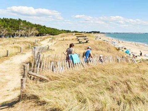 Flower Camping La Blanche Hermine - Camping Morbihan - Image N°46