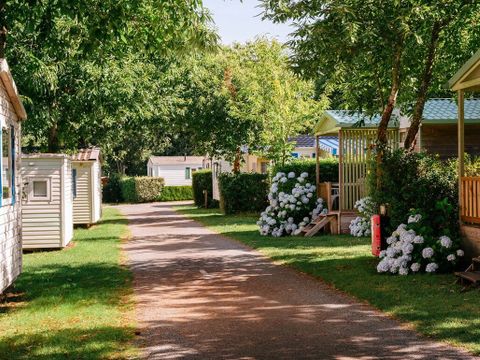 Flower Camping La Blanche Hermine - Camping Morbihan - Image N°28