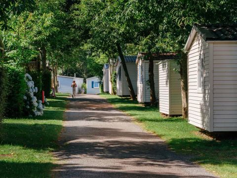 Flower Camping La Blanche Hermine - Camping Morbihan - Image N°25