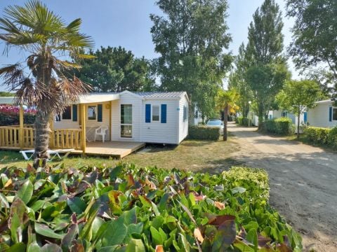 Camping Paradis - Les Palmiers - Camping Morbihan - Image N°11