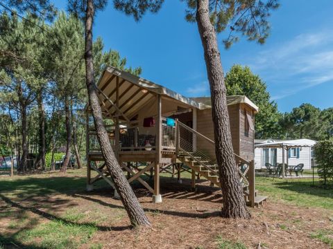 Insolite 5 personnes - INSOLITE 25-2 (Cabane sur pilotis Ecologe) >10ans ; maxi 4 adultes (Lits superposés) TV