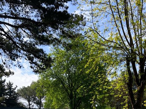 Camping Les Pirates de Carnac - Camping Morbihan - Image N°91