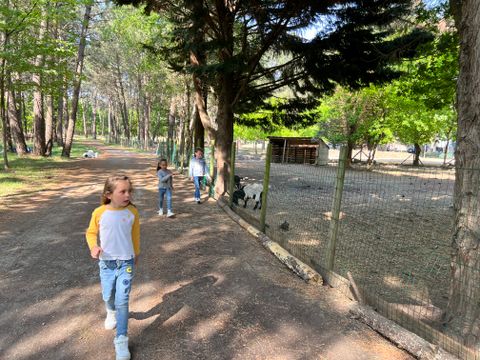 Camping Les Pirates de Carnac - Camping Morbihan - Image N°31