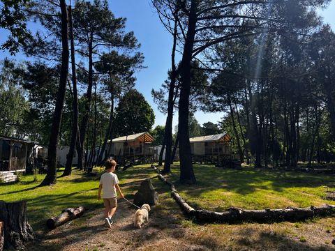 Camping Les Pirates de Carnac - Camping Morbihan - Image N°120