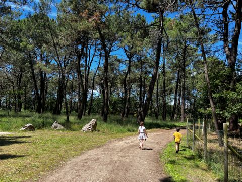 Camping Les Pirates de Carnac - Camping Morbihan - Image N°136
