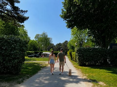 Camping Les Pirates de Carnac - Camping Morbihan