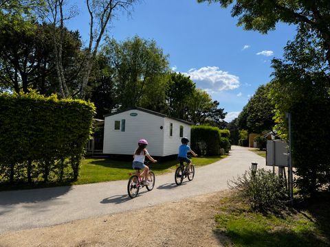 Camping Les Pirates de Carnac - Camping Morbihan - Image N°134