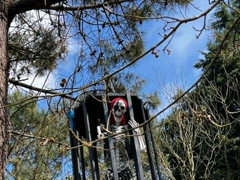 Camping Les Pirates de Carnac - Camping Morbihan - Image N°138