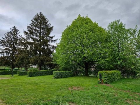 Camping Fraiteux - Camping Vosges - Image N°14