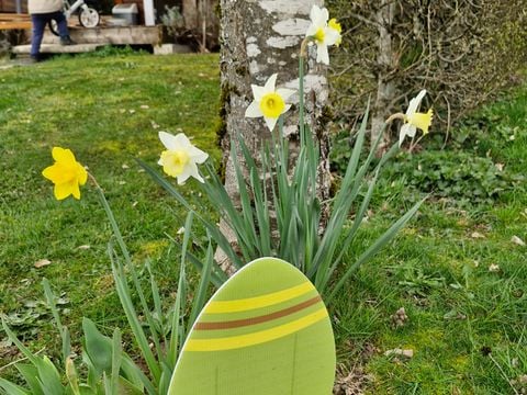 Camping Fraiteux - Camping Vosges - Image N°57