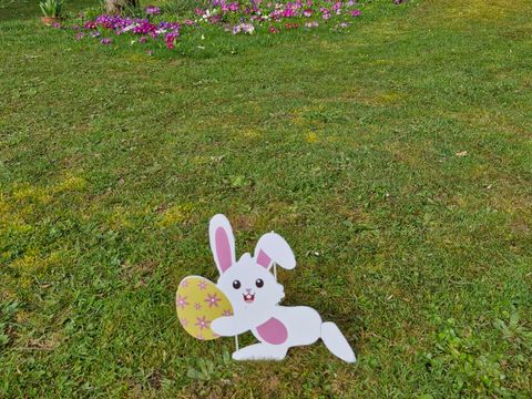 Camping Fraiteux - Camping Vosges - Image N°58