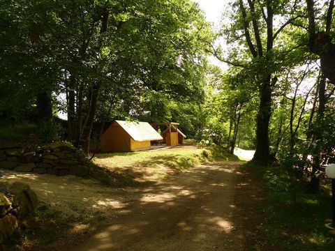 BUNGALOW 4 personnes - Bungalow trek double