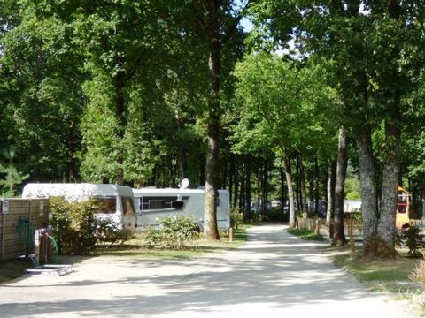 Flower Camping La Foret - Camping Sarthe