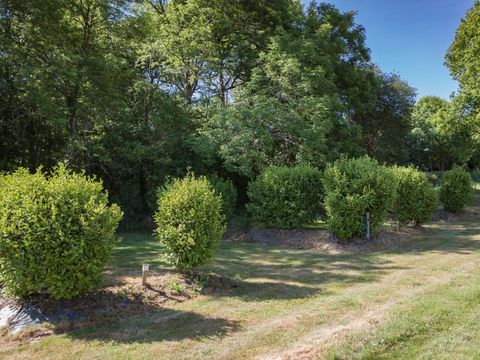 Camping Du Roz - Camping Finistere - Image N°4
