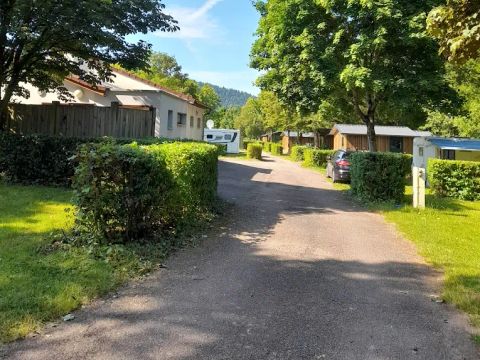 Camping Des Lacs - Camping Vosges - Image N°2