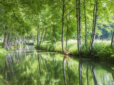 Tente en toile et en bois 5 personnes - LODGE SAFARI XL