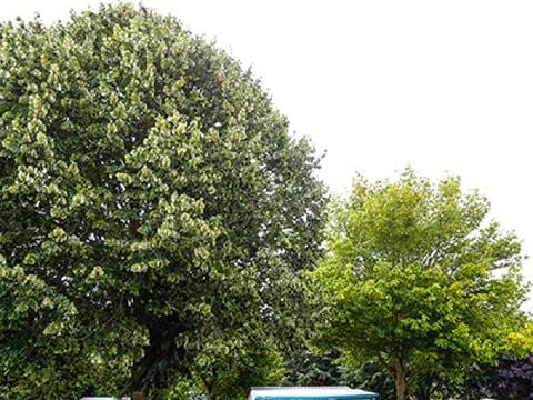 MOBILHOME 4 personnes - 2/4 pers sans sanitaires