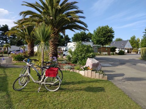 Camping Mirabel Les Mielles - Camping Côtes-d'Armor - Image N°12