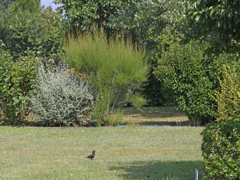Emplacement - Nature XL sans électricité