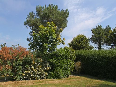 Emplacement - Nature XL sans électricité