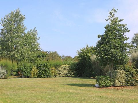 Emplacement - Confort XL avec électricité 10A