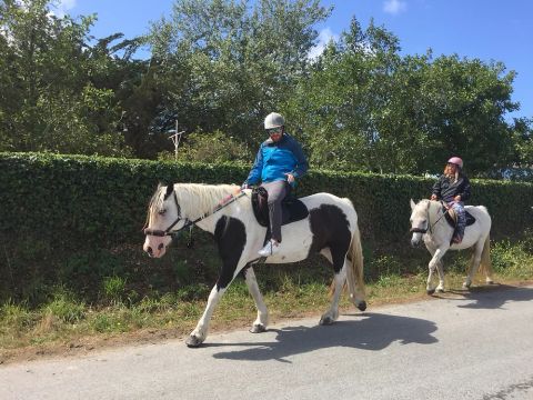 Camping Ode Vras - Camping Finistere - Image N°5