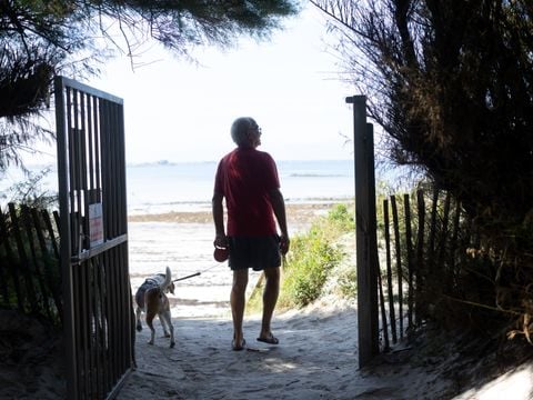 Camping Bel Air Villages - La Pointe de Roscoff - Camping Finistère - Image N°3