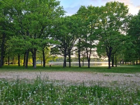 Camping La Tour Du Stock - Camping Mosella