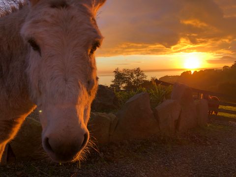 Camping Armor Loisirs - Camping Côtes-d'Armor - Image N°17