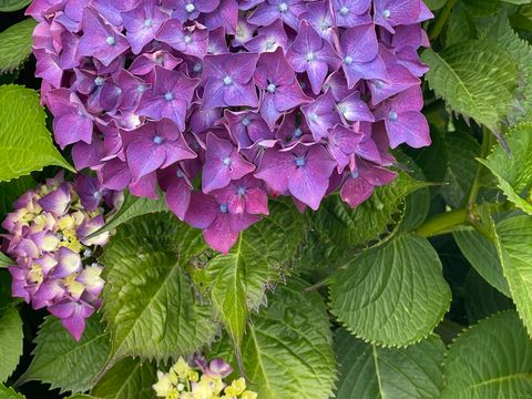 Camping Armor Loisirs - Camping Côtes-d'Armor - Image N°10