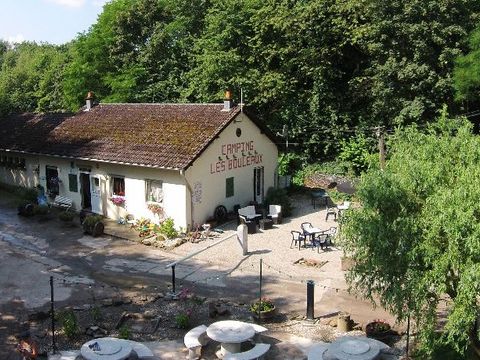Camping Les Bouleaux - Camping Moselle - Image N°13