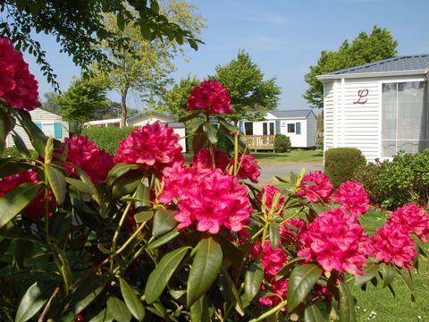 Camping Les Hauts de Port Blanc - Camping Côtes-d'Armor - Image N°18