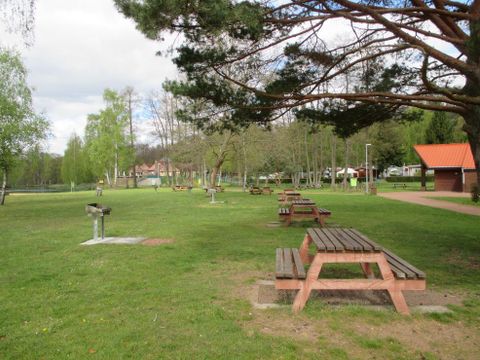 Camping Ramstein Plage - Camping Moselle - Image N°25