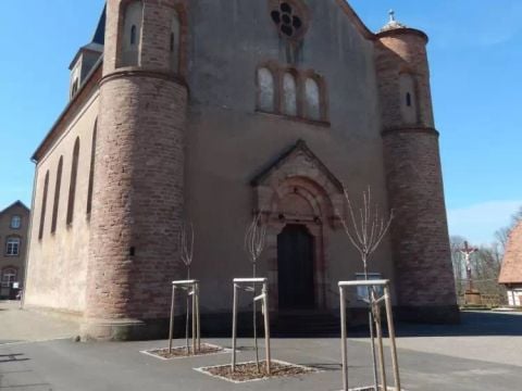 Camping Ramstein Plage - Camping Moselle - Image N°5