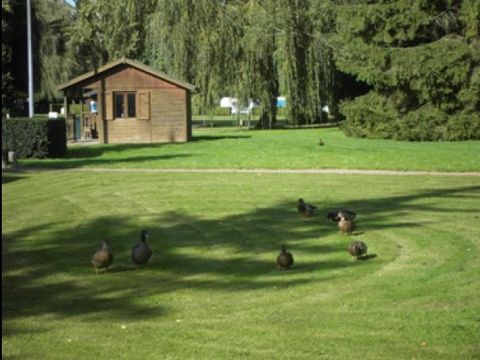Camping Les Aubepines - Camping Oise