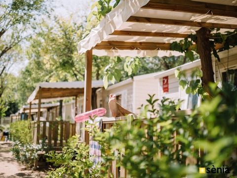 MOBILHOME 6 personnes - Evasion