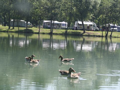 Camping Lac Vert Plage - Camping Meuse