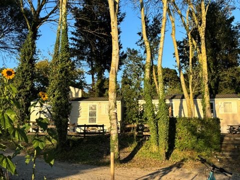 MOBILHOME 1 personne - 02-Mobil-Home Mitoyen Standard 17m2 (1ch - 1 pers.) + TV + Clim - prix pour 2 personnes