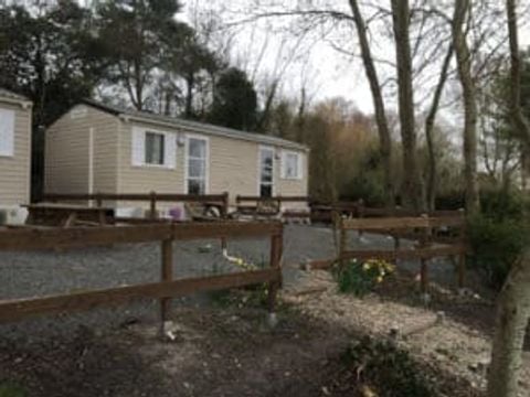 MOBILHOME 1 personne - 02-Mobil-Home Mitoyen Standard 17m2 (1ch - 1 pers.) + TV + Clim - prix pour 2 personnes