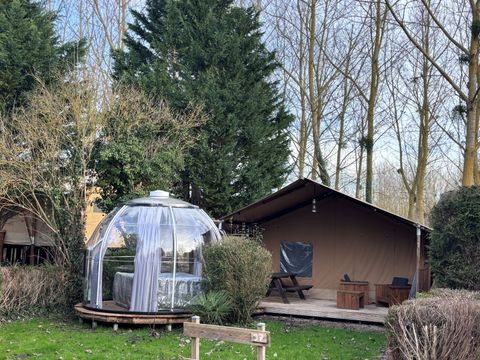 Tente en toile et en bois 2 personnes - 17-Tente safari Woody Deluxe 30m2 (2ch - 2/5 pers.) + Jaccuzzi + Lits faits + serviette + kit boisson - prix pour 2 personnes
