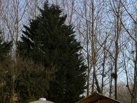 TENTE TOILE ET BOIS 2 personnes - 17-Tente safari Woody Deluxe 30m2 (2ch - 2/5 pers.) + Jaccuzzi + Lits faits + serviette + kit boisson - prix pour 2 personnes