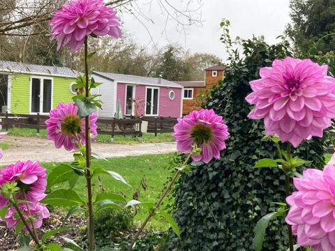 Camping de la Trye - Camping Oise - Image N°24