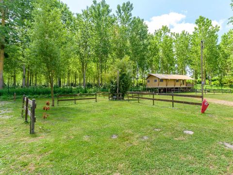 Flower Camping de la Trye - Camping Oise - Image N°11