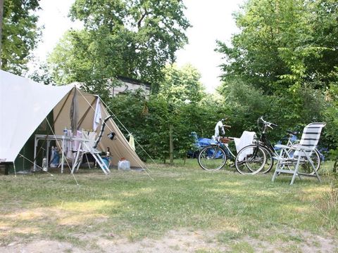 Camping de la Forêt Jumièges - Camping Seine-Maritime - Image N°26