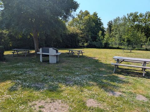 Camping des Cygnes - Camping Somme - Image N°23