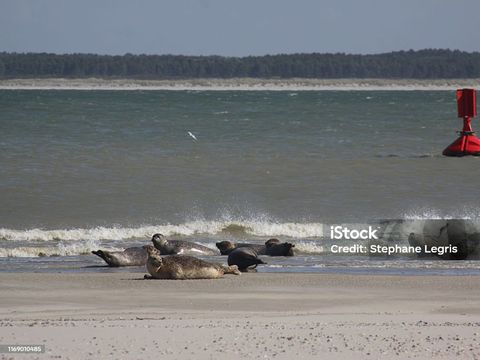 MOBILHOME 6 personnes - Mobil-home n°108, 5 lits, piscine, mer à 10min