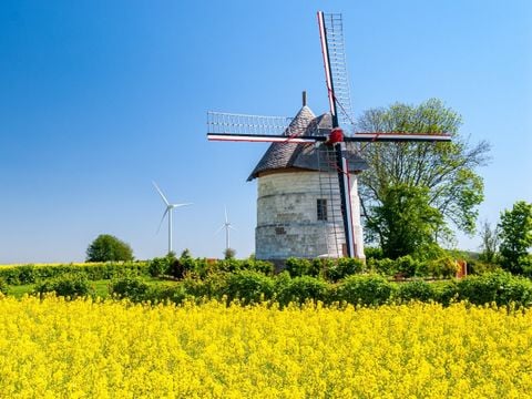 Camping du Grand Pré - Camping Somme - Image N°24